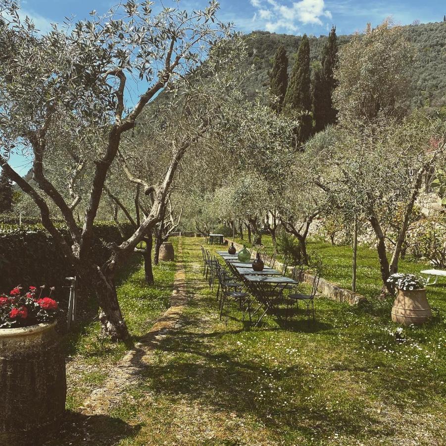 Sotto Il Cielo Di Toscana Appartamenti In Tenuta Only Adults No Pet Камайоре Экстерьер фото