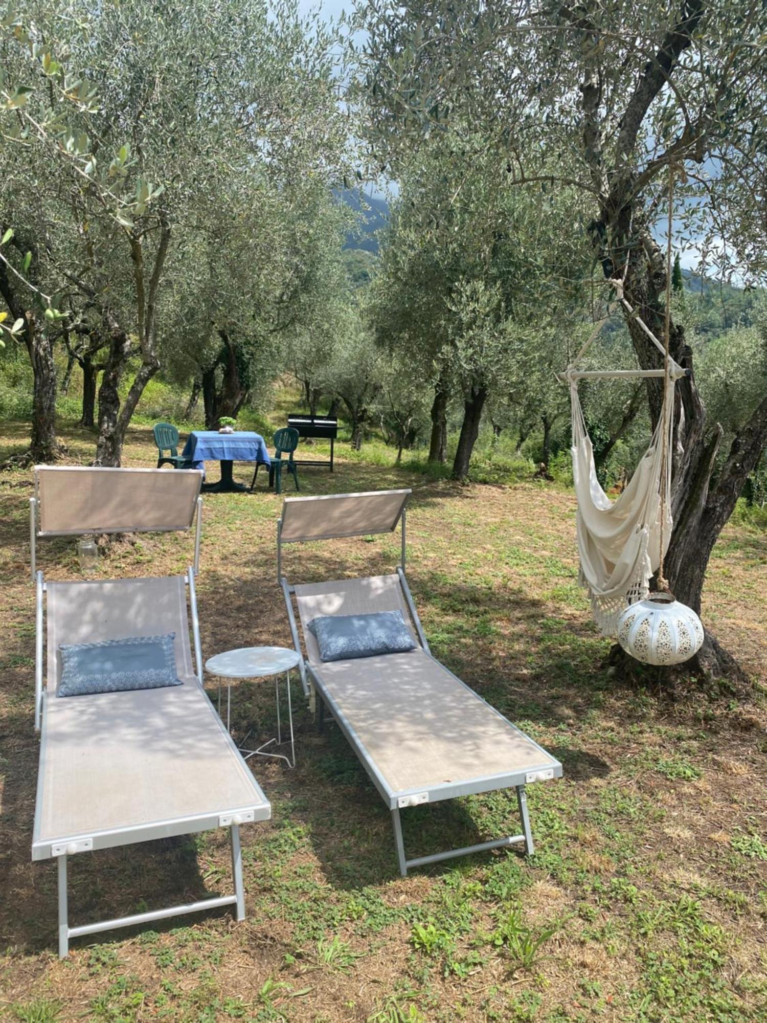 Sotto Il Cielo Di Toscana Appartamenti In Tenuta Only Adults No Pet Камайоре Экстерьер фото